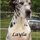 Layla Rain Mills. 2006-2015